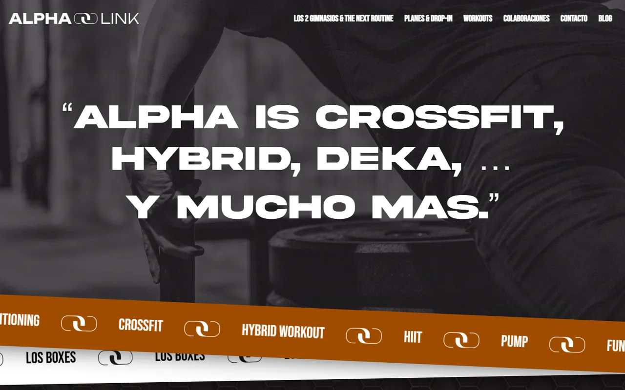 ALPHA LINK 1